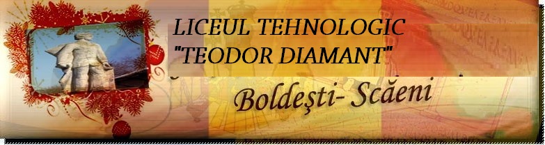 Liceul Tehnologic ,,Teodor Diamant"